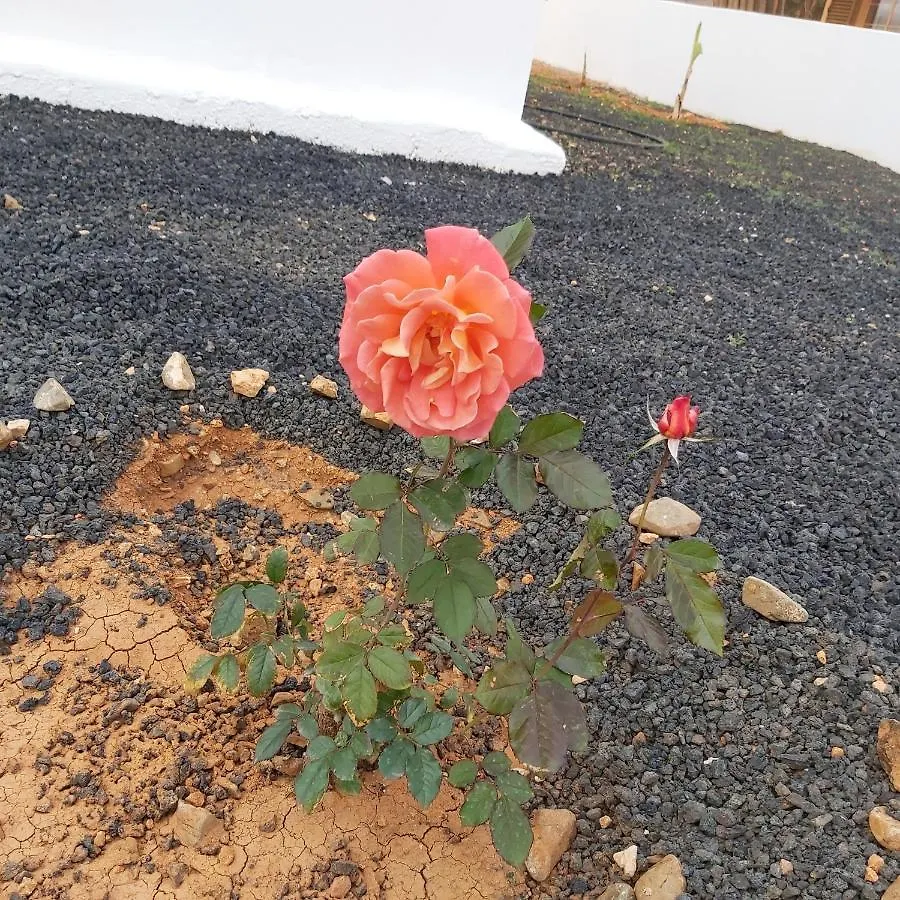 Villa Casa Ana Perez Antigua   Antigua (Fuerteventura)